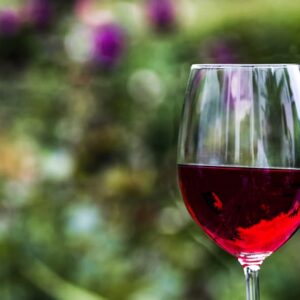 Copa Vino Tinto Gourmet